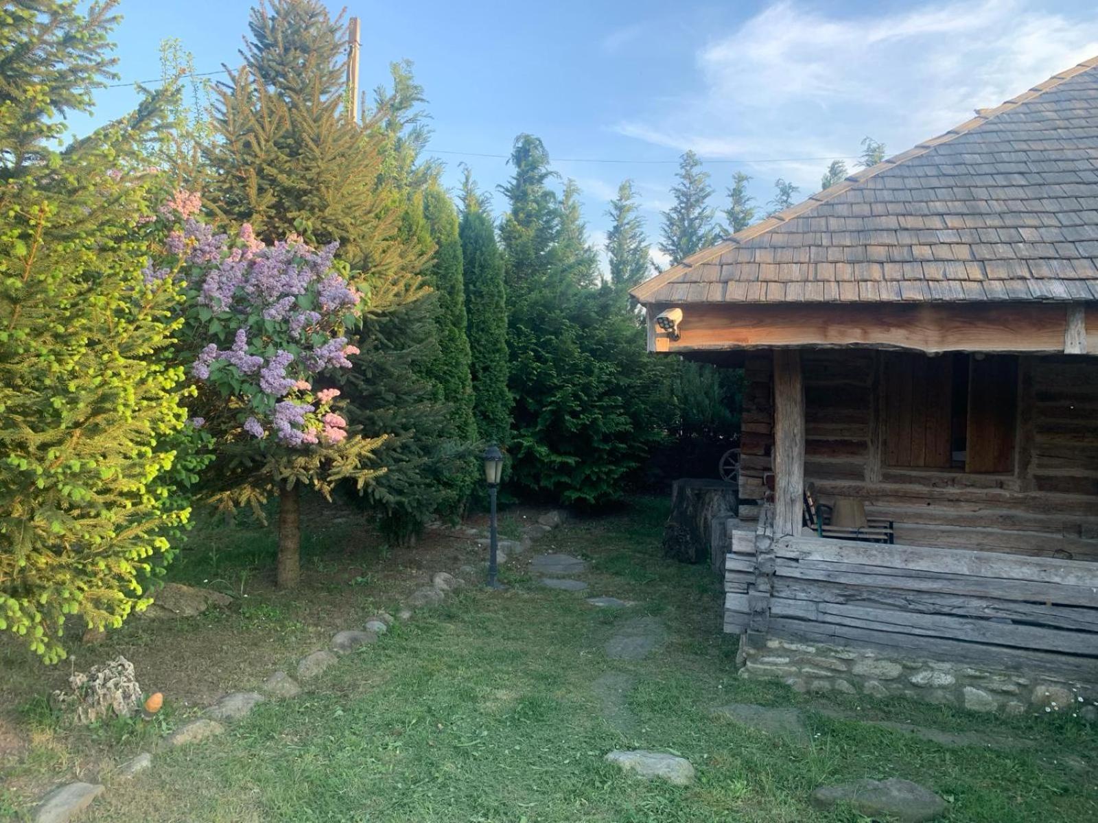 Satul Traditional Runcu  Exterior photo