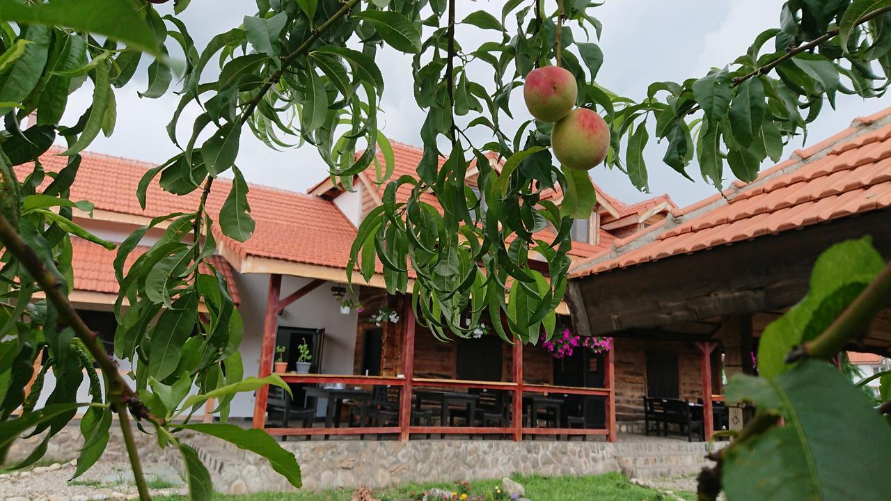 Satul Traditional Runcu  Exterior photo
